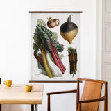 Album Vilmorin Wall Chart