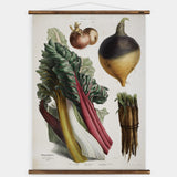 Album Vilmorin Wall Chart