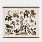 Zimmerpflanzen Wall Chart