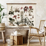 Zimmerpflanzen Wall Chart