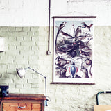 Birds Wall Chart