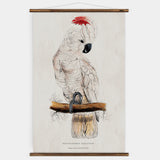Cockatoo Wall Chart