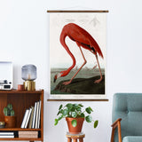 American Flamingo Wall Chart