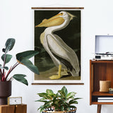 American Pelican Wall Chart