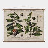 Coffee & Tea Wall Chart