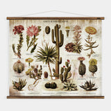 Cacti & Succulents Wall Chart
