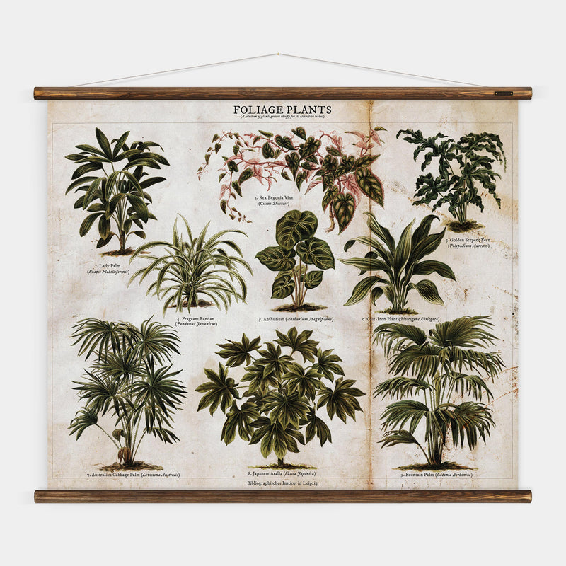 Foliage Plants Wall Chart