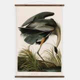 Great Blue Heron Wall Chart