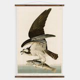 Hawk with Fish Wall Chart