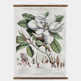 Magnolia Wall Chart