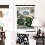 The Water Lily Wall Chart