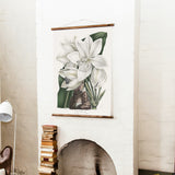 Crinum Giganteum Wall Chart