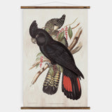 Black Cockatoo Wall Chart
