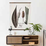 Diplothemium Wall Chart