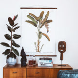 Trew Musa Wall Chart