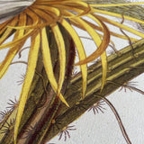 Trew Cereus Wall Chart