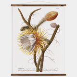 Trew Cereus Wall Chart