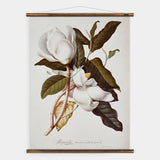 Magnolia II Wall Chart