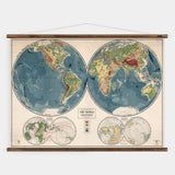 World in Hemispheres Map