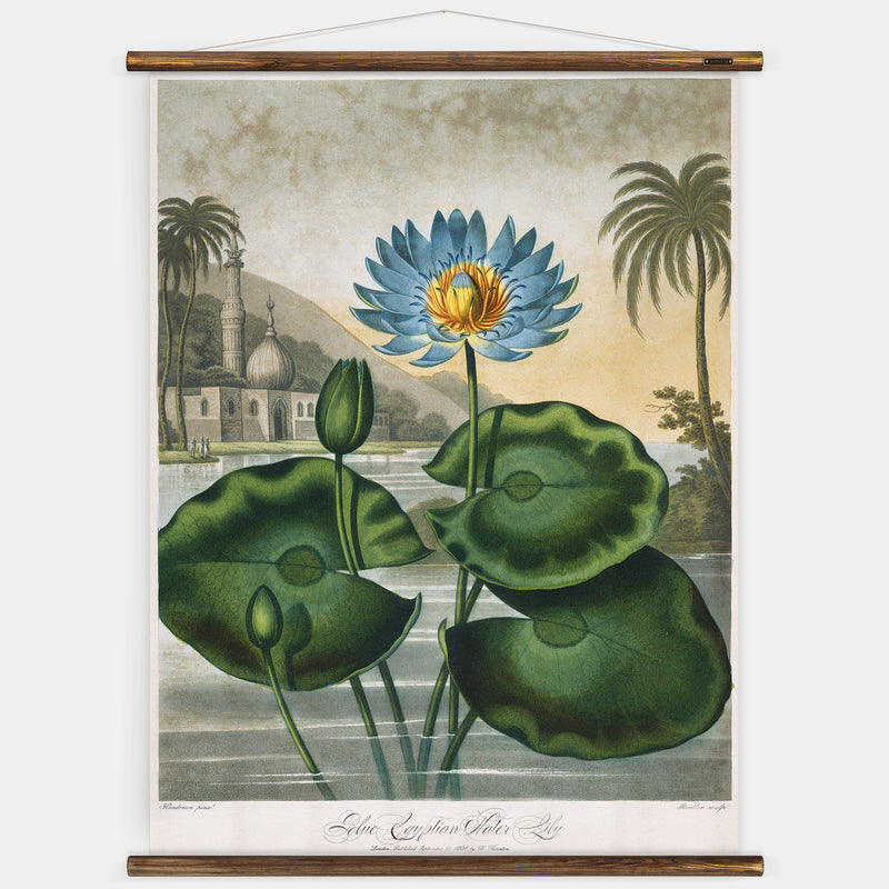 The Water Lily Wall Chart